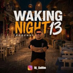 دانلود آهنگ دیجی سلیم Waking Night 13