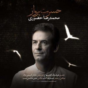 دانلود آهنگ محمدرضا حضورى حسرت پرواز