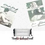 دانلود آهنگ مهدی مانسل به نام تنها نبود ولی