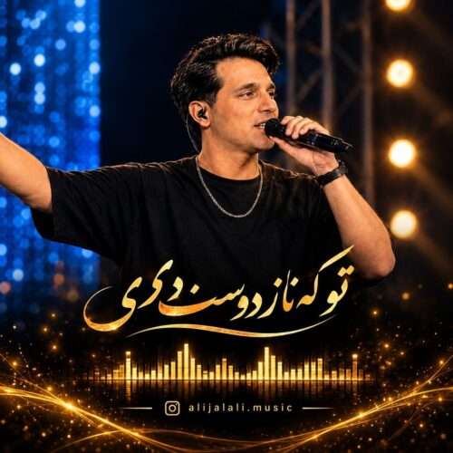 دانلود آهنگ علی جلالی (کولاک موزیک) تو که ناز دوست داری