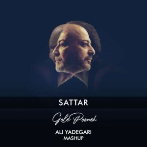 دانلود آهنگ دی جی علی یادگاری ریمیکس گل پونه (ستار)